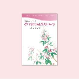 1220Ϥ5祻쥯ȥ꡼֤ꤽäơ
