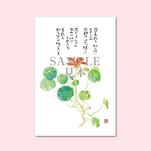 1224 絵はがき5枚セレクトシリーズ「花のように」 - 星野富弘詩画集ネット