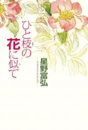 書籍 - 星野富弘詩画集ネット
