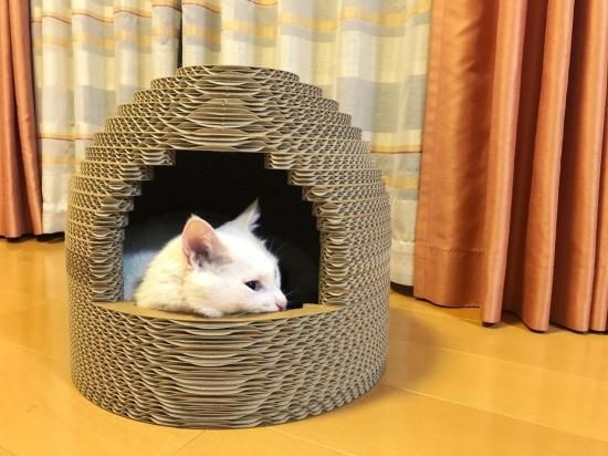 ダンボールねこちぐら - mcpack