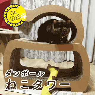 <img class='new_mark_img1' src='https://img.shop-pro.jp/img/new/icons14.gif' style='border:none;display:inline;margin:0px;padding:0px;width:auto;' />ͤ