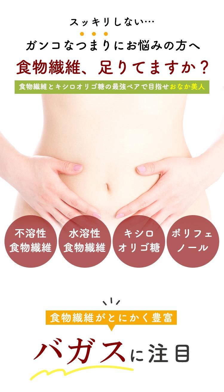発酵バガス