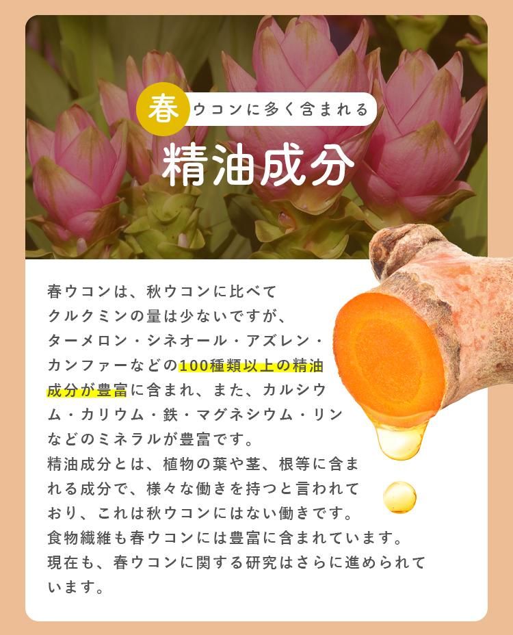 醗酵三種ウコン