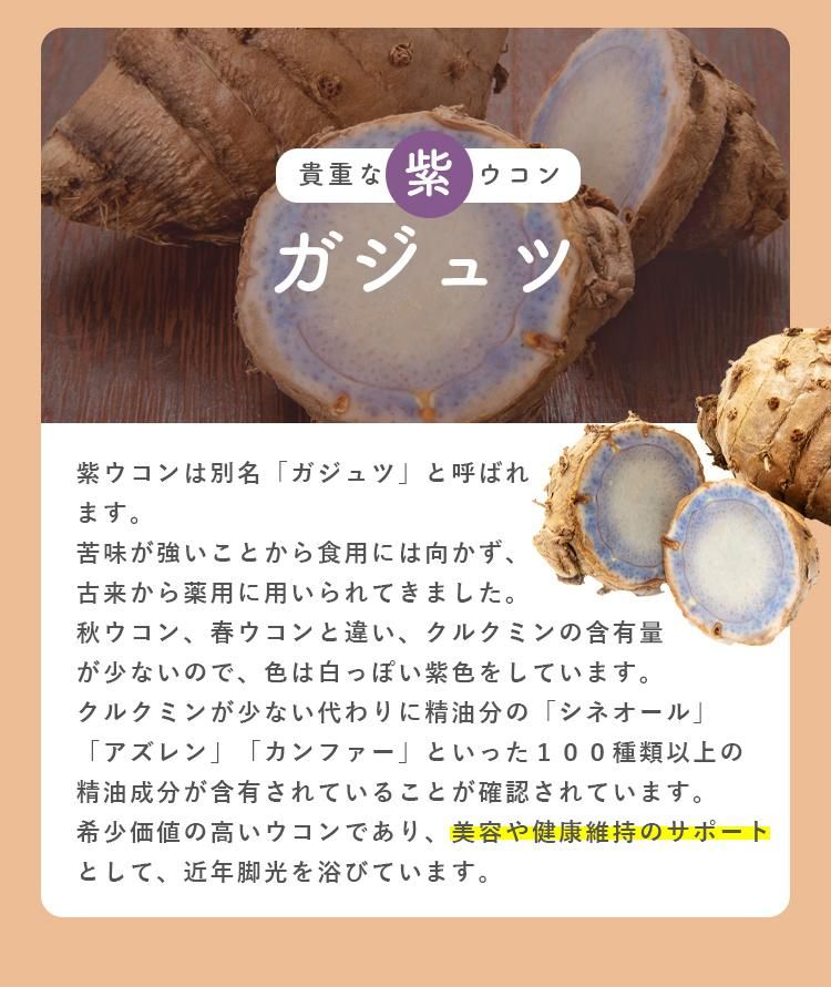 醗酵三種ウコン