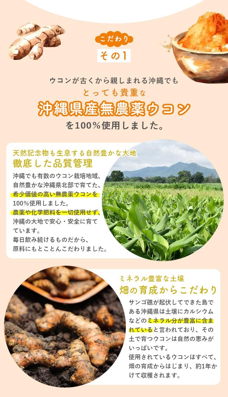 醗酵三種ウコン