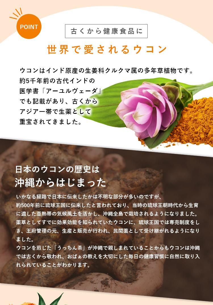 醗酵三種ウコン