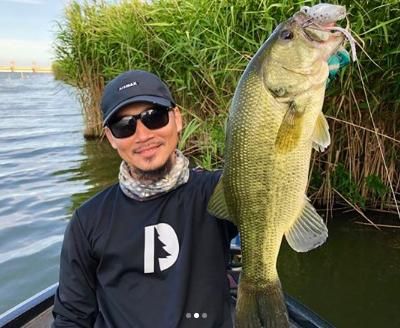 Deep Forest/ miQra・ミクラ - Knoxville Online Shop