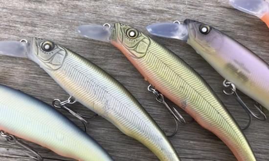 NISHINE LURE WORKS/ エリー95SD - Knoxville Online Shop