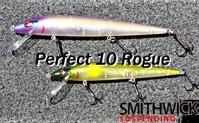 Smithwick/ Perfect 10 Rogue [ADR5] - Knoxville Online Shop