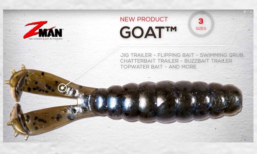 Z-Man / GOAT・Billy Goat - Knoxville Online Shop