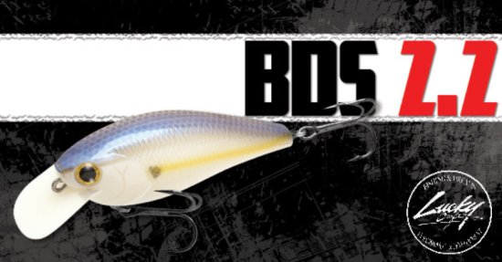 LUCKY CRAFT U.S.A / FAT CB B.D.S Magic2.2 ・BDS2.2 DRS - Knoxville