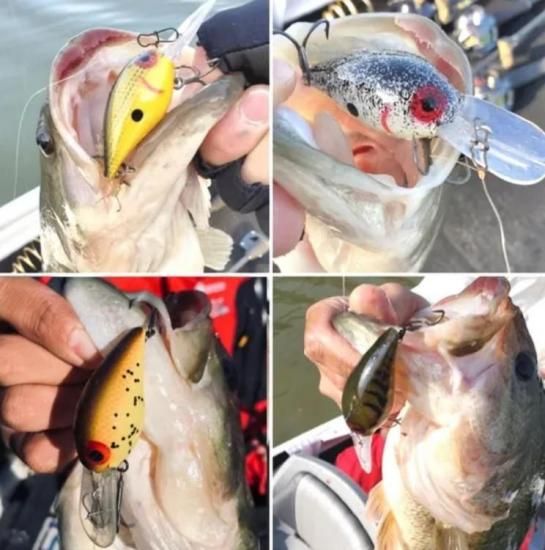 Dave's Custom Baits/Black Market Rock Warrior [1st .Model