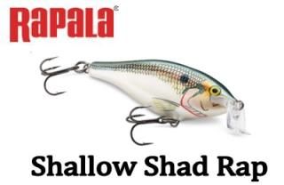 Rapala - Knoxville Online Shop