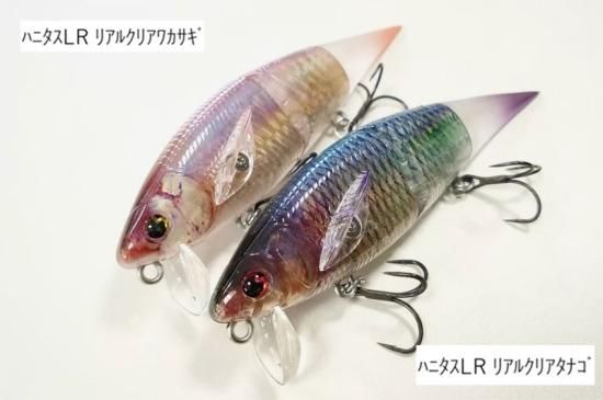 madotachi / ハニタス LR 「新色」 - Knoxville Online Shop