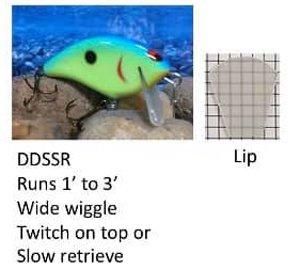 Buck Creek Lures / Dinky Donker Super Shallow Runner - Knoxville