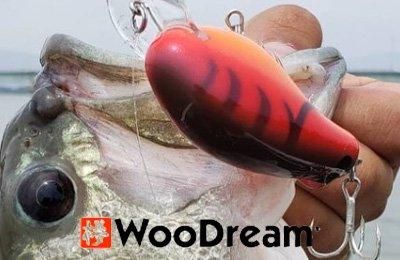 ウッドリーム　ノーネイムクランク　2点セット ウッドリーム ノーネイムクランク 2点セット ご予約スタート