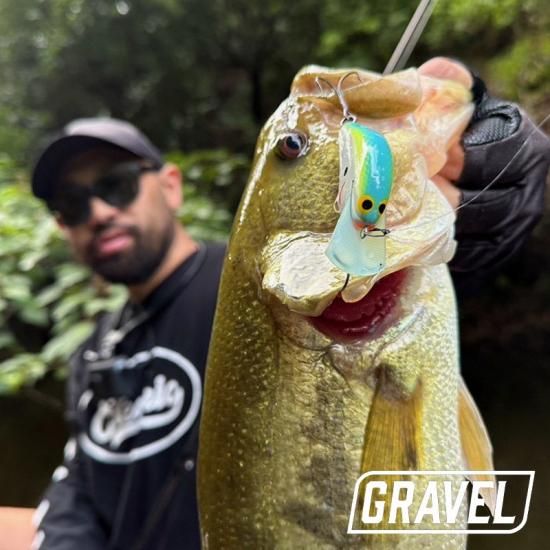 GRAVEL / WAGGY - Knoxville Online Shop GRAVEL / WAGGY - Knoxville Online Shop