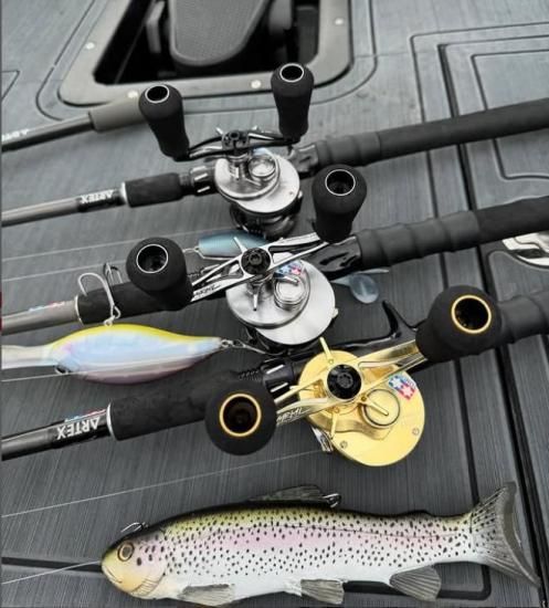 Nate's Baits スイムベイト 約12 inch 30 cm drt