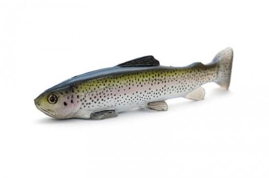 入荷速報】Nate's Baits「12インチ Line Through Trout」登場