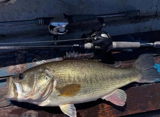 Deep Forest / Original Frogging Rod 「GLOK Gen2」 640H Deep Forest / Original Frogging Rod 「GLOK Gen2」 640H