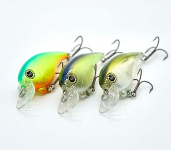 REVONIK / SaraMoa - Knoxville Online Shop