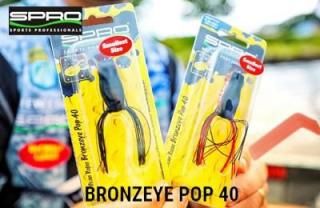 商品検索 - Knoxville Online Shop