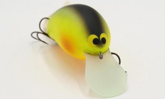 GRASSROOTS / Redcub - Knoxville Online Shop