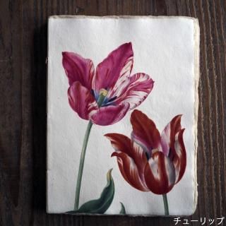 <img class='new_mark_img1' src='https://img.shop-pro.jp/img/new/icons14.gif' style='border:none;display:inline;margin:0px;padding:0px;width:auto;' />Ρȥ֥å (A5 size) 
