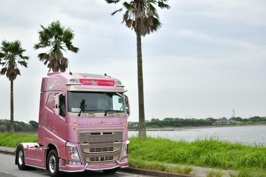 ボンボネロ× nowellcamp カスタムフィン image.jpg