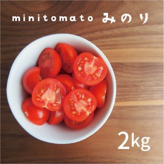 徳島石井町産 ミニトマト 2kg 　※別途送料