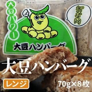 こんがり直火焼 ハンバーグ 550g(55g×10枚) | ふっくらジューシーに