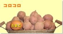 <img class='new_mark_img1' src='https://img.shop-pro.jp/img/new/icons60.gif' style='border:none;display:inline;margin:0px;padding:0px;width:auto;' />ϰǼ    5kg