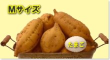 完熟安納芋（黄金）Ｍ　10kg
