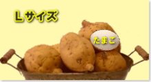 完熟安納芋（黄金）Ｌ　10kg箱