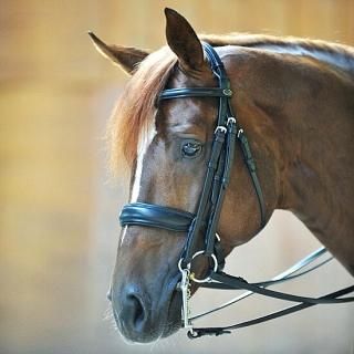 頭絡 馬具 乗馬用品アダージョ 頭絡 馬具 乗馬用品アダージョ