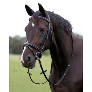再入荷|馬具・乗馬用品アダージョ 再入荷|馬具・乗馬用品アダージョ