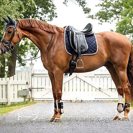 QHPプロテクターセット | 機能性抜群の全肢保護 - 馬具・乗馬