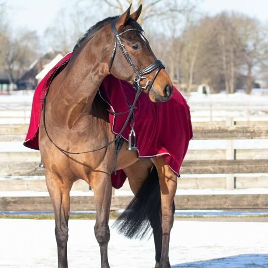 乗馬フリースジャケット 楽天市場】乗馬 ジャケット ブルゾン BVERTIGO ダーシー