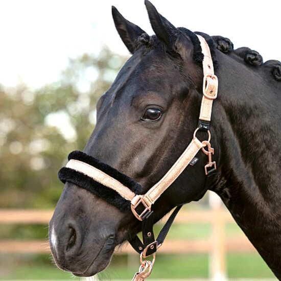 LeMieux 乗馬ゼッケン 障害 ロワール ロゼ 有し LeMieux 乗馬ゼッケン 障害 ロワール ロゼ 有し