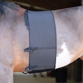 <img class='new_mark_img1' src='https://img.shop-pro.jp/img/new/icons53.gif' style='border:none;display:inline;margin:0px;padding:0px;width:auto;' />NORTON ベリーバンド