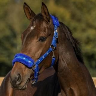 <img class='new_mark_img1' src='https://img.shop-pro.jp/img/new/icons15.gif' style='border:none;display:inline;margin:0px;padding:0px;width:auto;' />̵