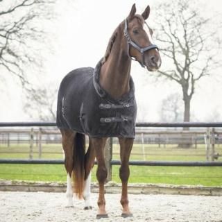 <img class='new_mark_img1' src='https://img.shop-pro.jp/img/new/icons15.gif' style='border:none;display:inline;margin:0px;padding:0px;width:auto;' />QHPե꡼饰󥷥ƥ֥ե