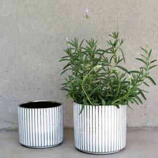 SE1002200163     GLAM SILVER POT  