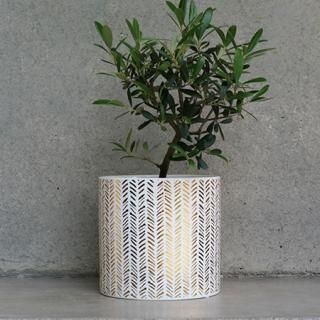 SE1002200187  MADIA POT M
