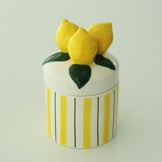 NL1002201102Jar lemonS