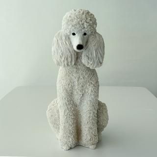 NL1002201103Coinbank poodle