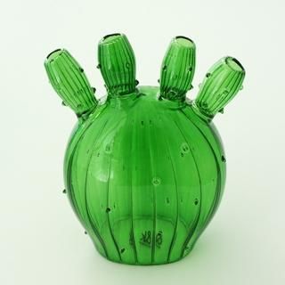 NL1002201113 Vase cactus 2