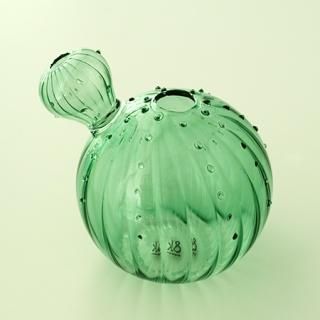 NL1002201114 Vase cactus 3