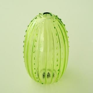 NL1002201115 Vase cactus 4