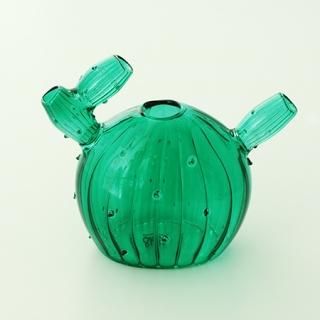 NL1002201116 Vase cactus 5